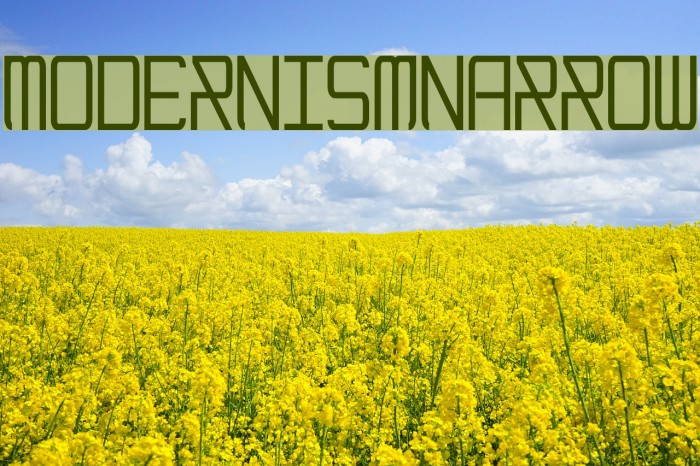 ModernismNarrow Font examples