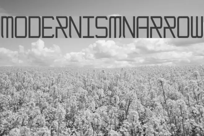 ModernismNarrow Example 2
