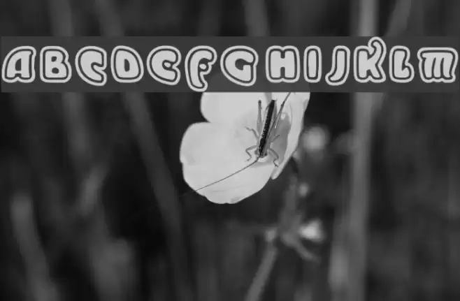 Moderno Outline خط examples