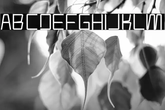 Moderno Font examples