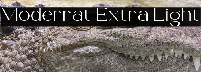 Moderrat Extra Light Example 2