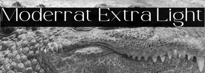 Moderrat Extra Light Example 2