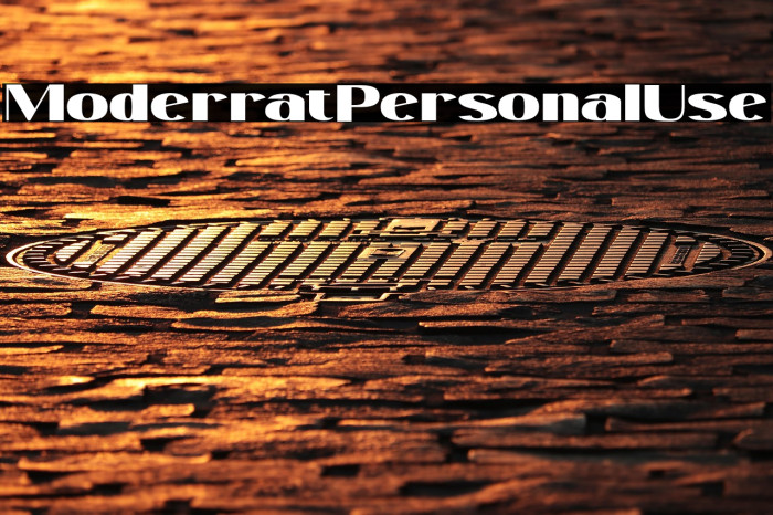 ModerratPersonalUse Example 1