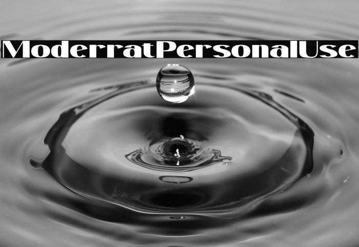 ModerratPersonalUse Example 3