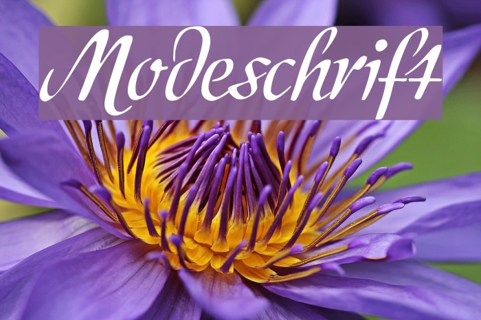 Modeschrift Font examples