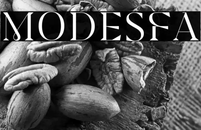 Modesfa Font examples