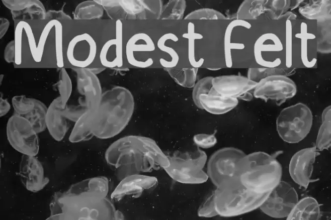 Modest Felt フォント examples