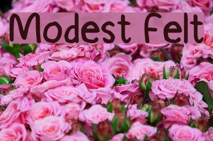 Modest Felt フォント examples