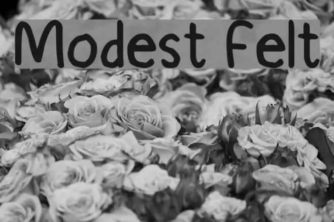 Modest Felt フォント examples