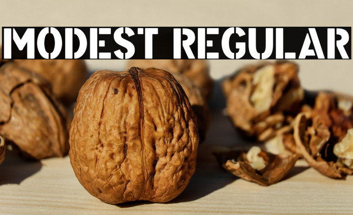 Modest Regular Example 1