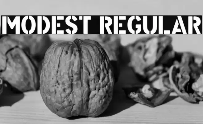 Modest Regular Font examples