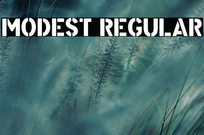 Modest Regular Example 2