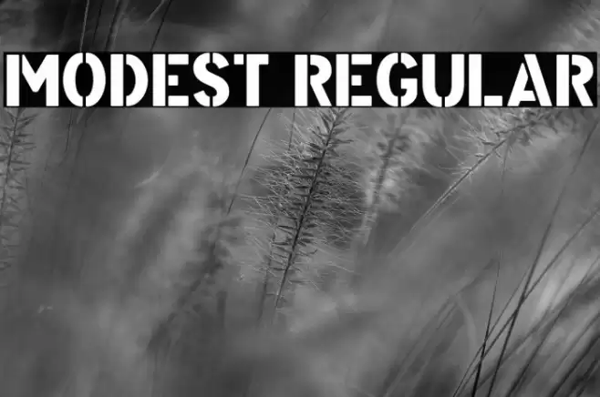 Modest Regular Font examples