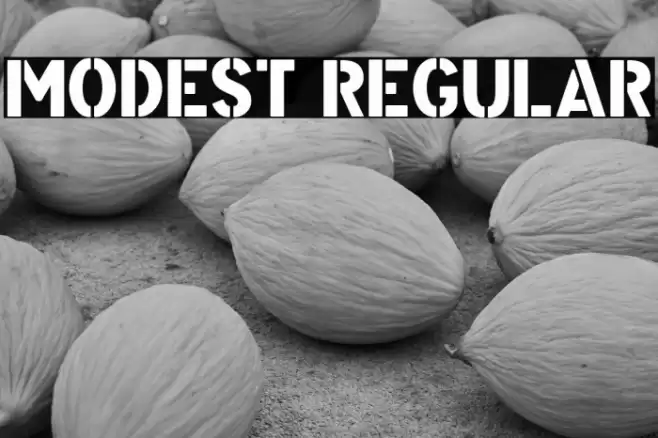 Modest Regular Font examples