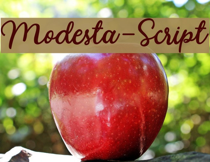 Modesta-Script Font examples