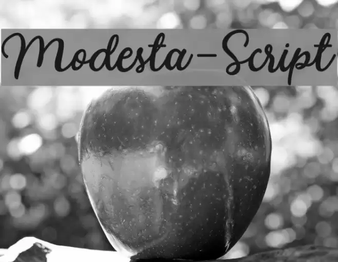 Modesta-Script Font examples