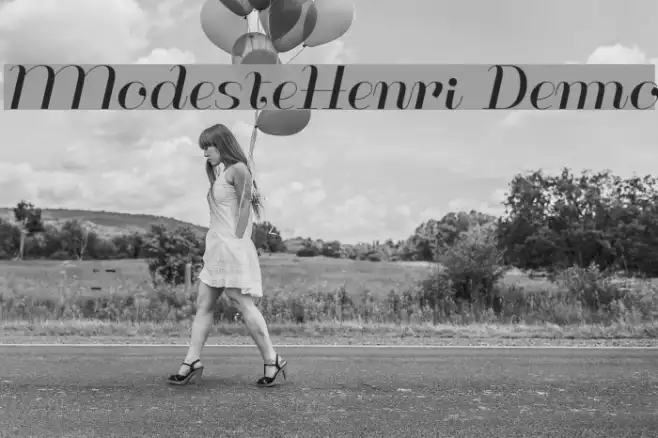 ModesteHenri Demo Example 1
