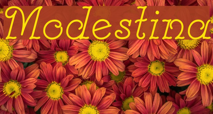 Modestina Example 1