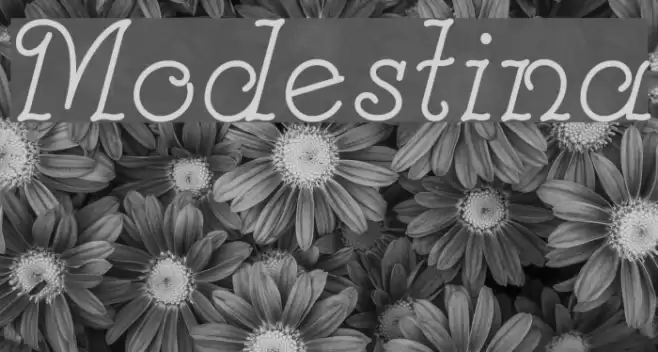 Modestina Font examples