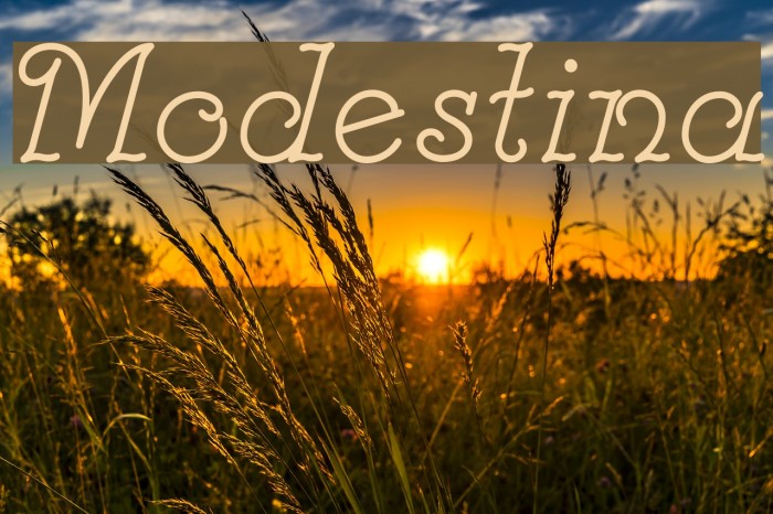 Modestina Example 2
