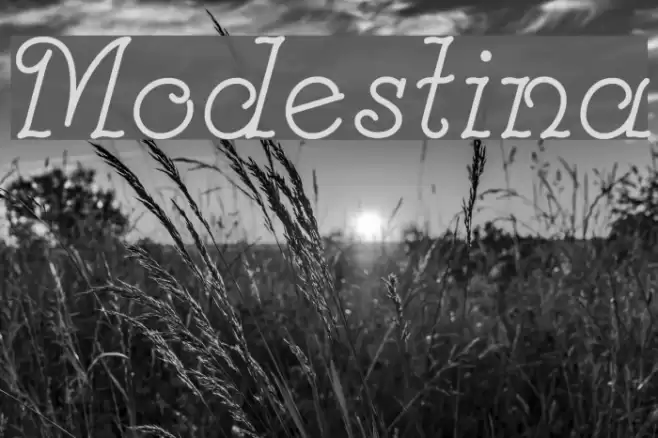 Modestina Font examples