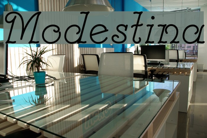 Modestina Example 3
