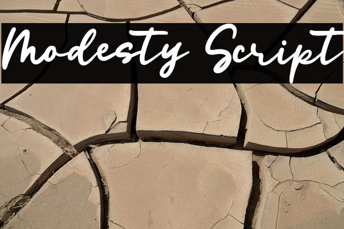 Modesty Script Example 2