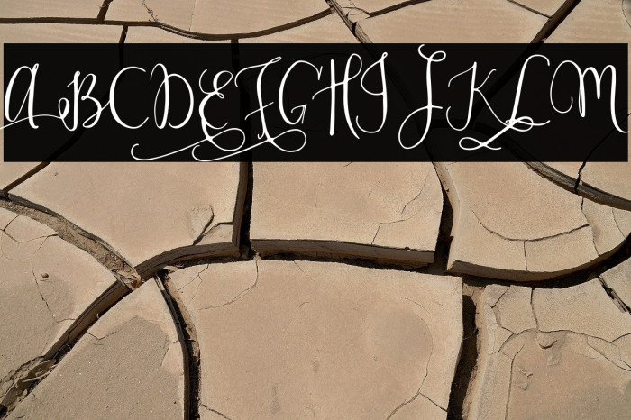 ModestyRegular Example 3