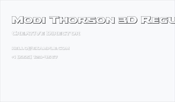 Modi Thorson 3D Regular Business Card