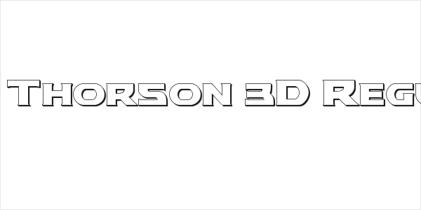 Modi Thorson 3D Regular Logo