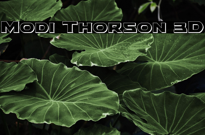 Modi Thorson 3D Example 2