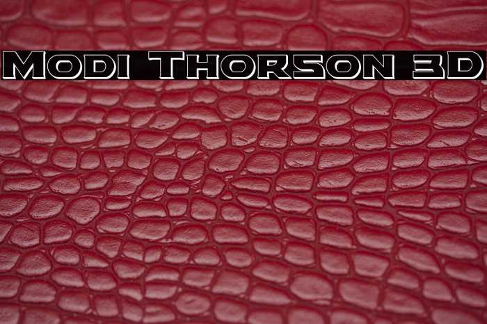 Modi Thorson 3D Example 3