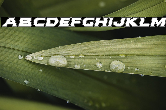 Modi Thorson Academy Italic Example 1