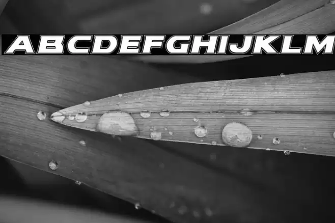 Modi Thorson Academy Italic Font examples