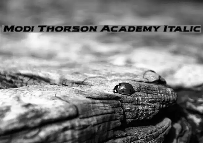Modi Thorson Academy Italic Font examples