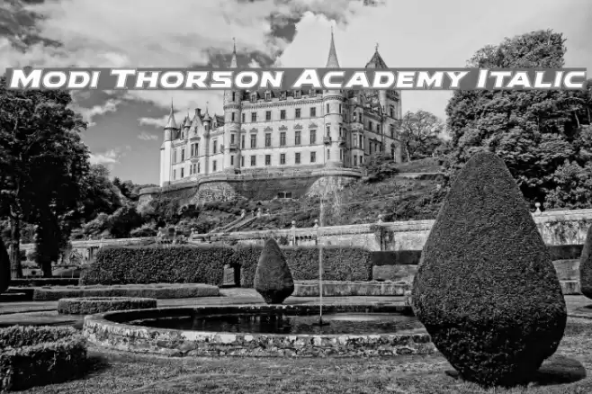 Modi Thorson Academy Italic Font examples