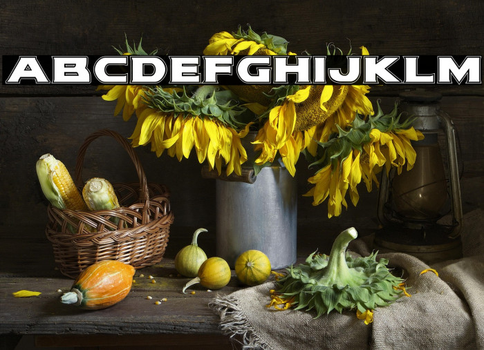 Modi Thorson Academy Regular Example 2