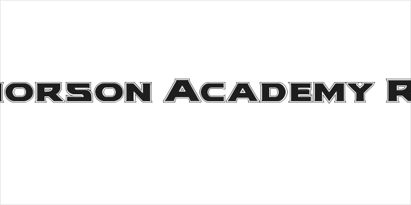Modi Thorson Academy Regular Logo