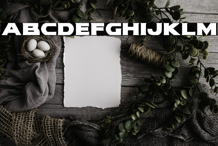 Modi Thorson Bold Example 1