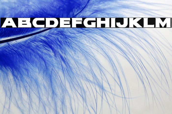 Modi Thorson Bold Example 3