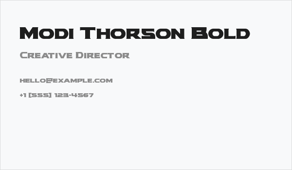 Modi Thorson Bold Business Card