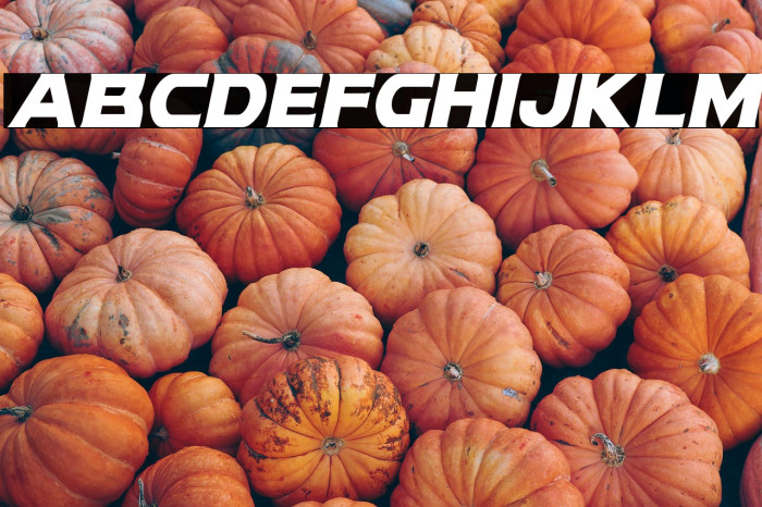 Modi Thorson Condensed Italic Example 1