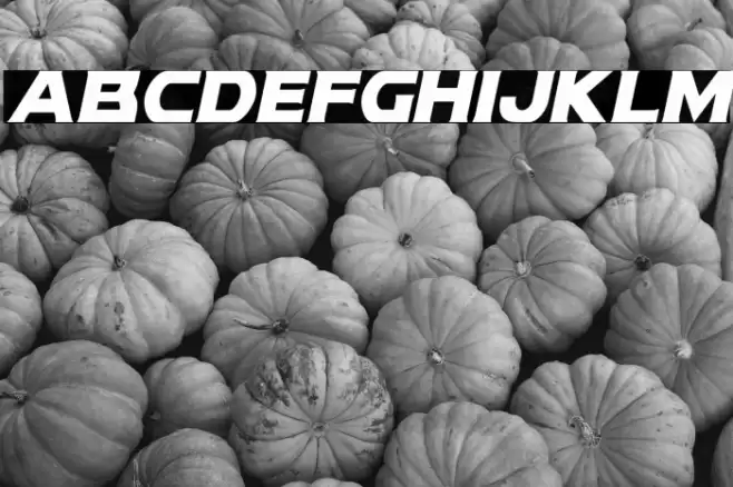 Modi Thorson Condensed Italic Font examples