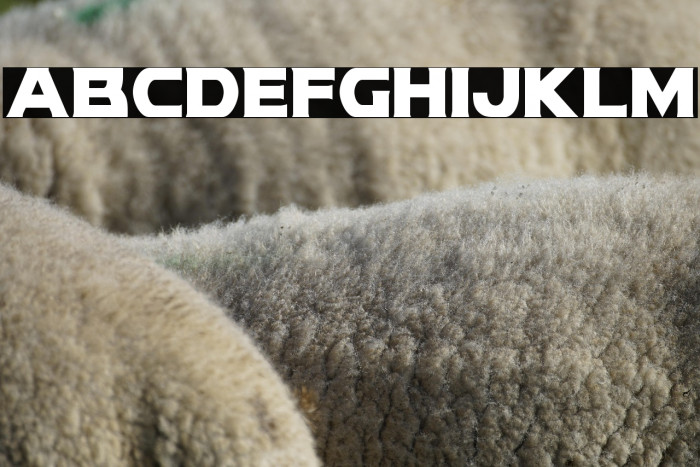 Modi Thorson Condensed Example 1