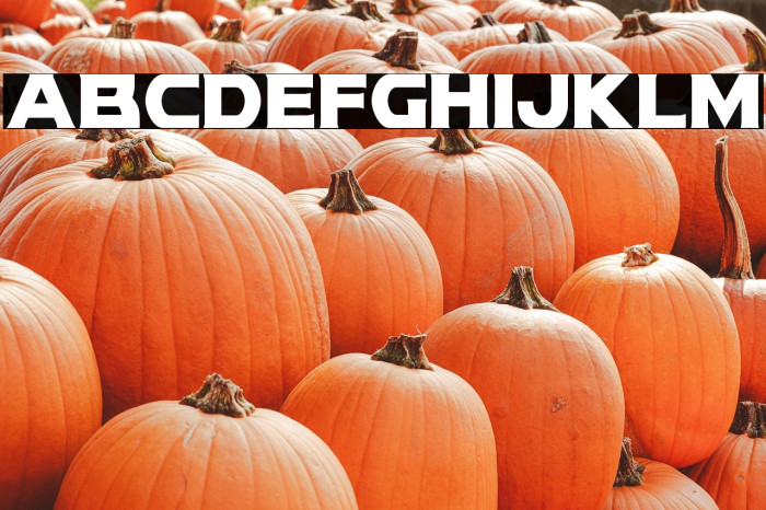 Modi Thorson Condensed Example 2