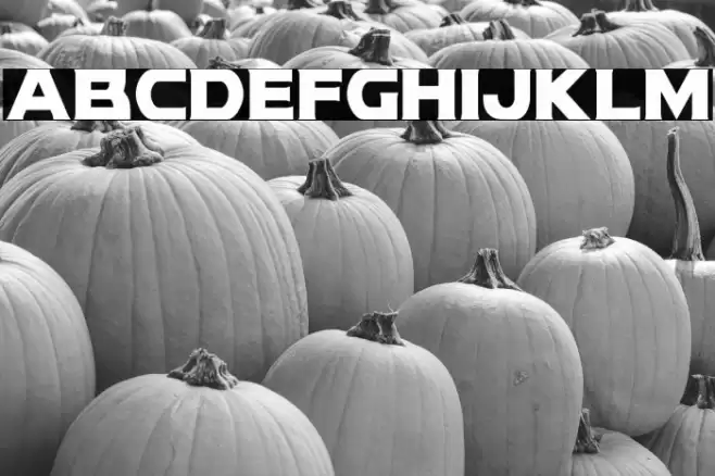 Modi Thorson Condensed Font examples