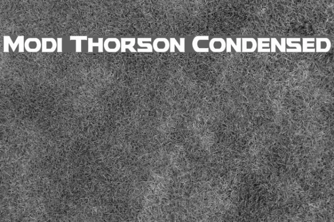 Modi Thorson Condensed Font examples