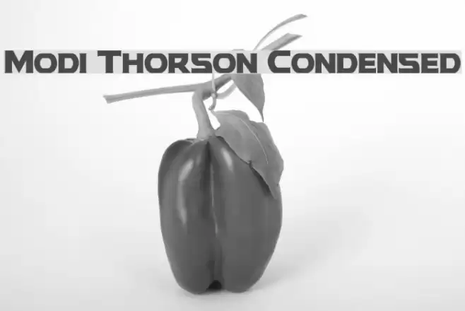 Modi Thorson Condensed Font examples