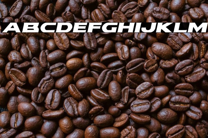 Modi Thorson Expanded Italic Example 2