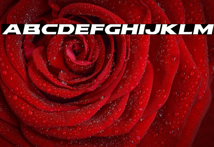 Modi Thorson Expanded Italic Example 3